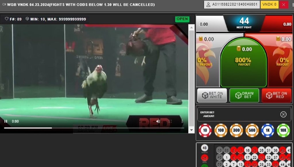 Đá Gà Thomo mang đến cho người chơi những trận đấu hấp dẫn và gây cấn