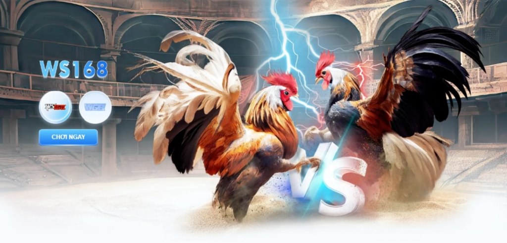 Đá Gà FB68 - Lựa chọn hoàn hảo cho đam mê đá gà